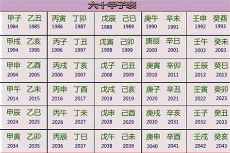 2028年五行属什么|2028年属什么生肖